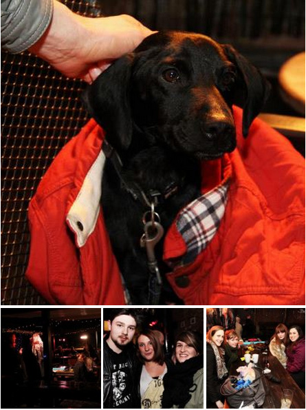 Abbey Tavern photos